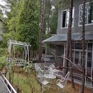 Pinetree Resort Nathiagali Nathia Gali Buitenkant foto